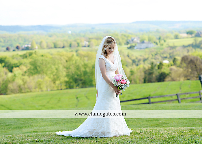 Lauxmont Farms wedding photographer Cobblestone Courtyard Wrightsville pa pink B&B Light and Sound Dickey's Aulestia David's Bridal Men's Wearhouse roman jewelers gordon's 50