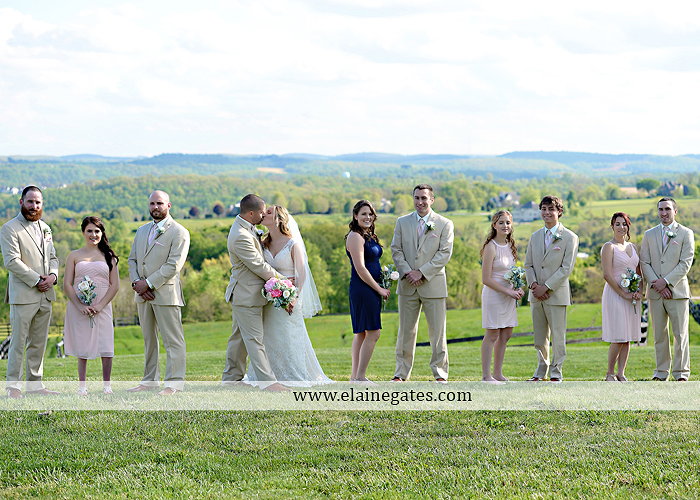 Lauxmont Farms wedding photographer Cobblestone Courtyard Wrightsville pa pink B&B Light and Sound Dickey's Aulestia David's Bridal Men's Wearhouse roman jewelers gordon's 52