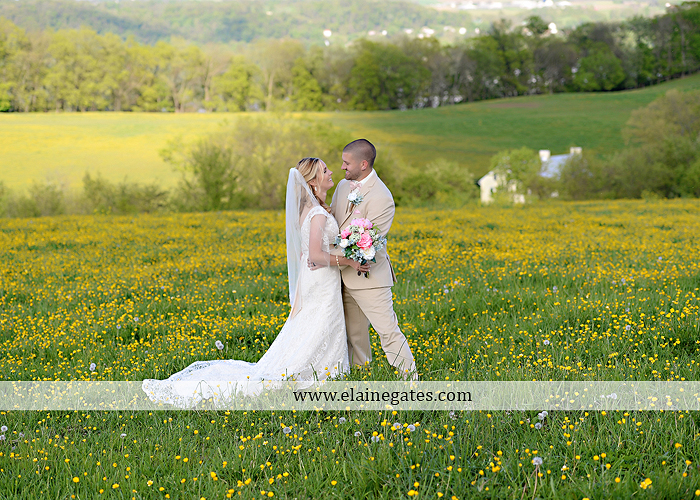 Lauxmont Farms wedding photographer Cobblestone Courtyard Wrightsville pa pink B&B Light and Sound Dickey's Aulestia David's Bridal Men's Wearhouse roman jewelers gordon's 56