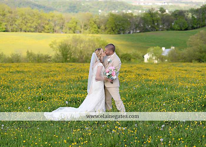 Lauxmont Farms wedding photographer Cobblestone Courtyard Wrightsville pa pink B&B Light and Sound Dickey's Aulestia David's Bridal Men's Wearhouse roman jewelers gordon's 57