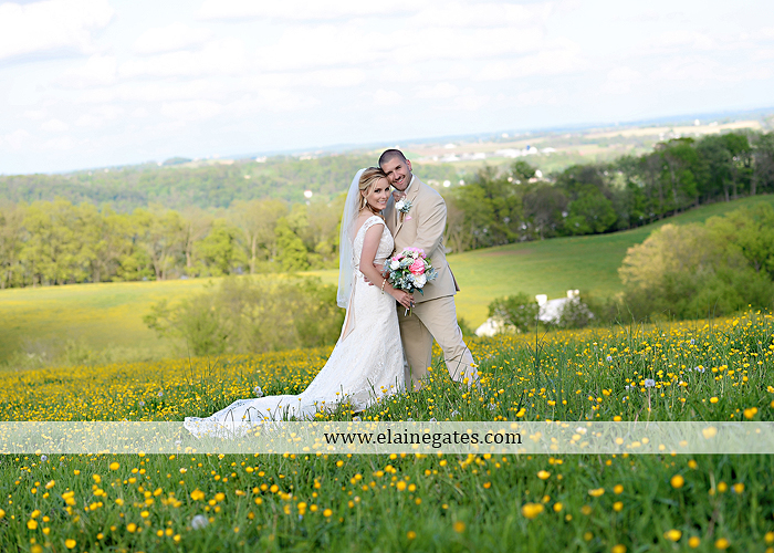 Lauxmont Farms wedding photographer Cobblestone Courtyard Wrightsville pa pink B&B Light and Sound Dickey's Aulestia David's Bridal Men's Wearhouse roman jewelers gordon's 58