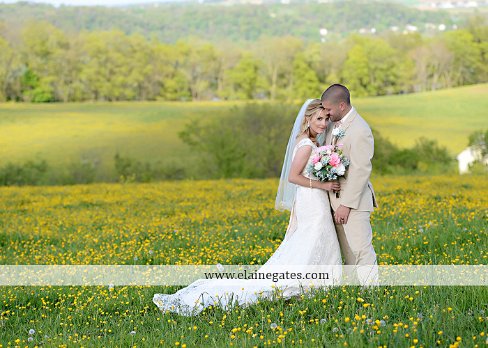 Lauxmont Farms wedding photographer Cobblestone Courtyard Wrightsville pa pink B&B Light and Sound Dickey's Aulestia David's Bridal Men's Wearhouse roman jewelers gordon's 59