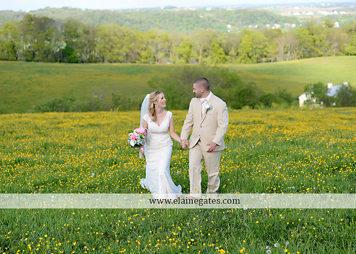 Lauxmont Farms wedding photographer Cobblestone Courtyard Wrightsville pa pink B&B Light and Sound Dickey's Aulestia David's Bridal Men's Wearhouse roman jewelers gordon's 61