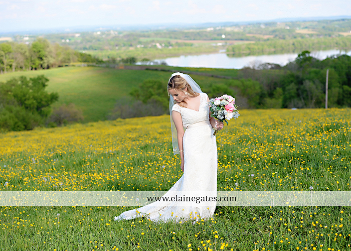 Lauxmont Farms wedding photographer Cobblestone Courtyard Wrightsville pa pink B&B Light and Sound Dickey's Aulestia David's Bridal Men's Wearhouse roman jewelers gordon's 62