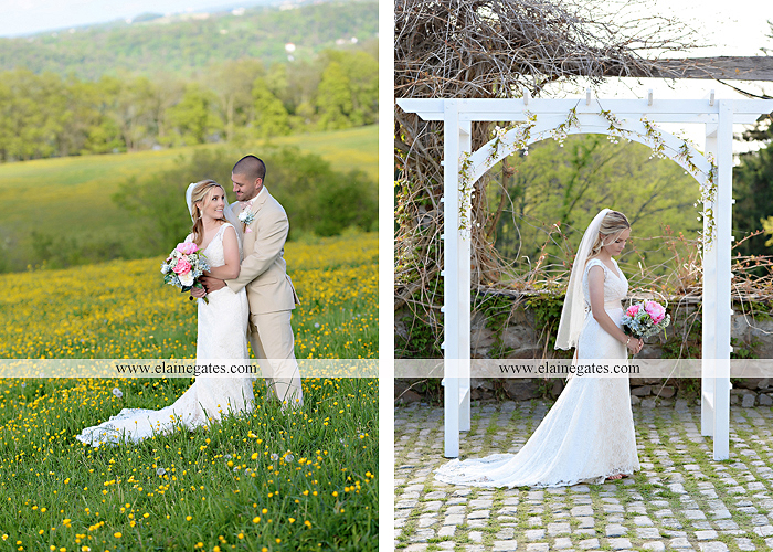 Lauxmont Farms wedding photographer Cobblestone Courtyard Wrightsville pa pink B&B Light and Sound Dickey's Aulestia David's Bridal Men's Wearhouse roman jewelers gordon's 64