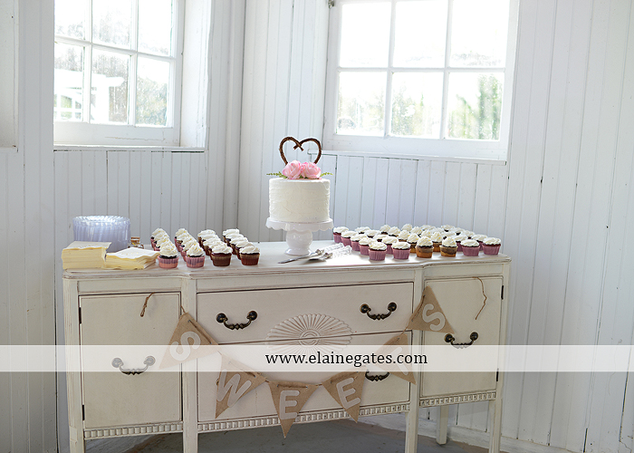 Lauxmont Farms wedding photographer Cobblestone Courtyard Wrightsville pa pink B&B Light and Sound Dickey's Aulestia David's Bridal Men's Wearhouse roman jewelers gordon's 66