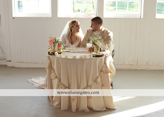 Lauxmont Farms wedding photographer Cobblestone Courtyard Wrightsville pa pink B&B Light and Sound Dickey's Aulestia David's Bridal Men's Wearhouse roman jewelers gordon's 67