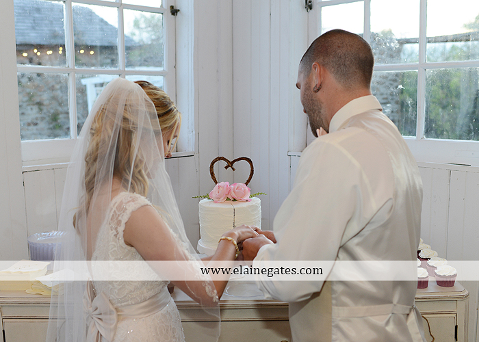 Lauxmont Farms wedding photographer Cobblestone Courtyard Wrightsville pa pink B&B Light and Sound Dickey's Aulestia David's Bridal Men's Wearhouse roman jewelers gordon's 68