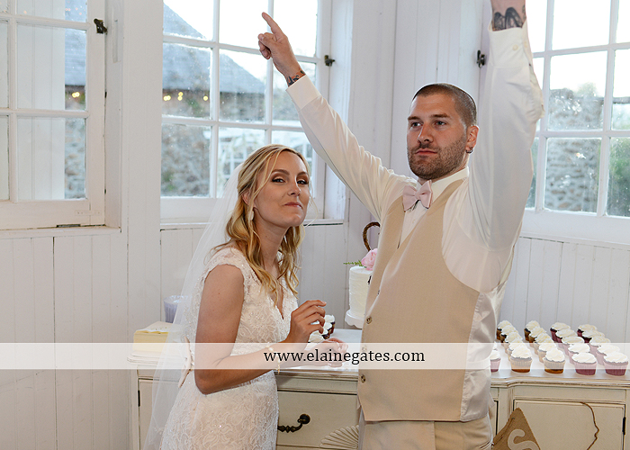 Lauxmont Farms wedding photographer Cobblestone Courtyard Wrightsville pa pink B&B Light and Sound Dickey's Aulestia David's Bridal Men's Wearhouse roman jewelers gordon's 70