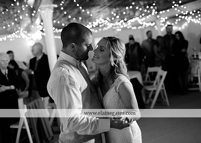 Lauxmont Farms wedding photographer Cobblestone Courtyard Wrightsville pa pink B&B Light and Sound Dickey's Aulestia David's Bridal Men's Wearhouse roman jewelers gordon's 72