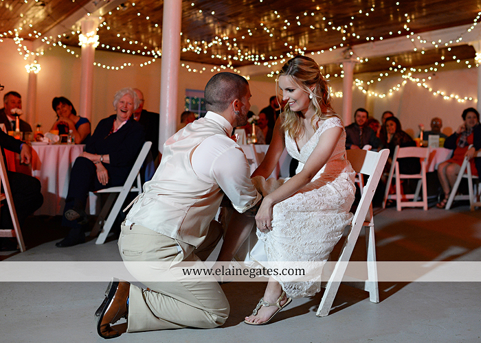 Lauxmont Farms wedding photographer Cobblestone Courtyard Wrightsville pa pink B&B Light and Sound Dickey's Aulestia David's Bridal Men's Wearhouse roman jewelers gordon's 75