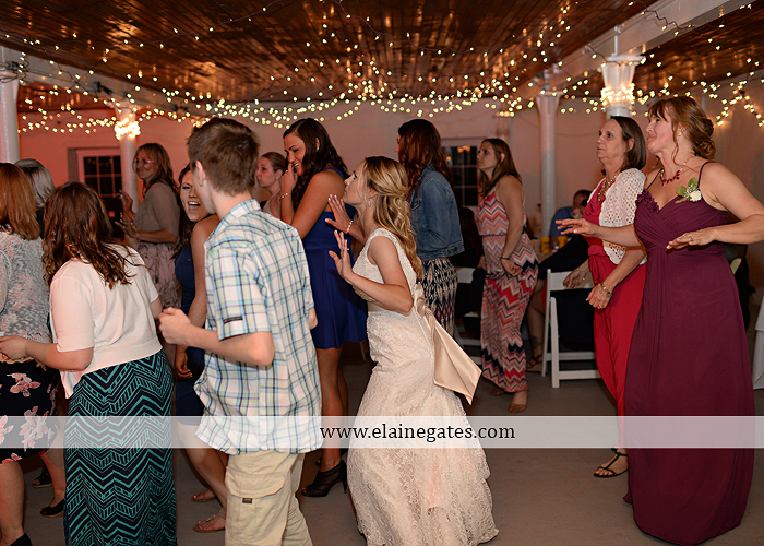 Lauxmont Farms wedding photographer Cobblestone Courtyard Wrightsville pa pink B&B Light and Sound Dickey's Aulestia David's Bridal Men's Wearhouse roman jewelers gordon's 78