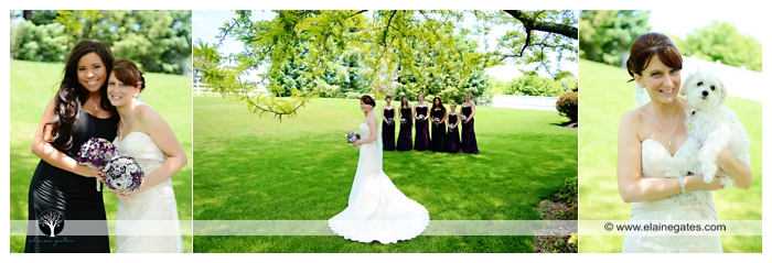 Liberty Forge Wedding Black Purple Corsage Bouquet jd -3