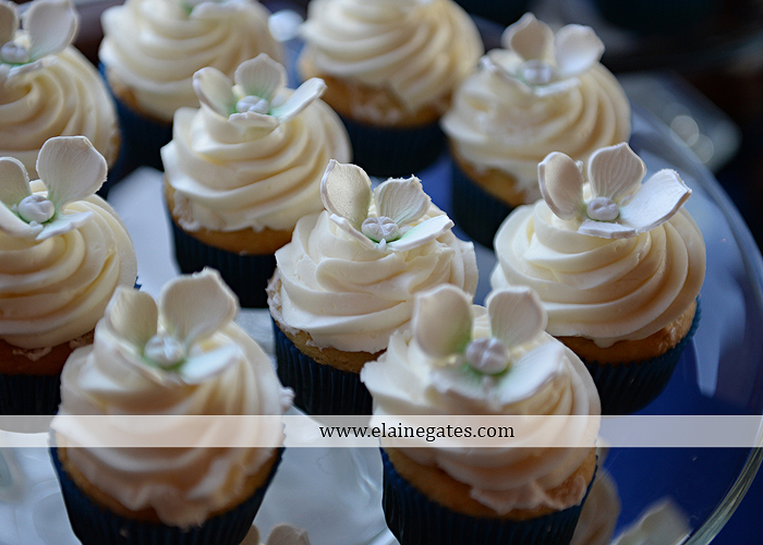 liberty-forge-wedding-photographer-mechanicsburg-pa-thunderkiss-entertainment-garden-bouquet-davids-bridal-elle-salon-j-b-bridal-mens-wearhouse-koser-jewelers-40