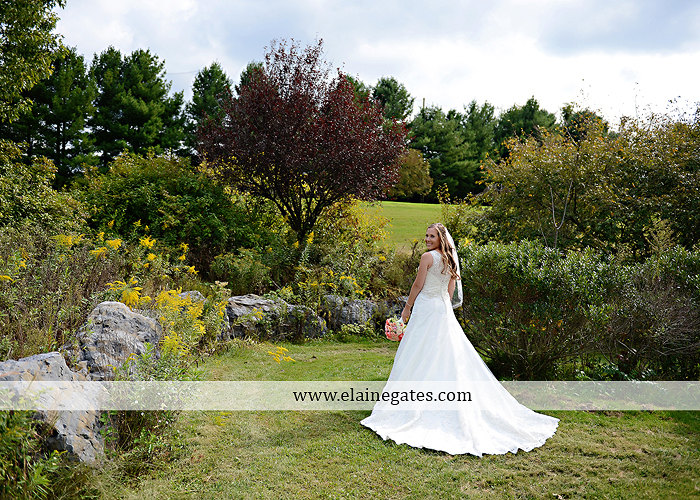 Liberty Forge wedding photographer central pa mechanicsburg pink mint green altland house amy's custom cakery blooms by vickrey j&b bridals littman jewelers men's wearhouse 24