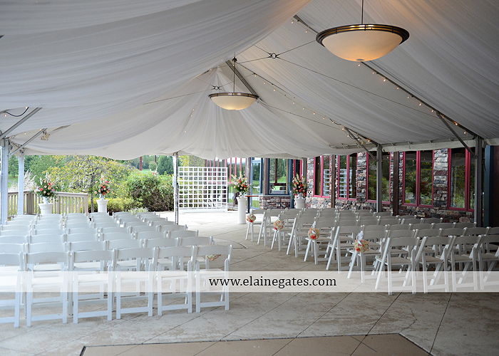 Liberty Forge wedding photographer central pa mechanicsburg pink mint green altland house amy's custom cakery blooms by vickrey j&b bridals littman jewelers men's wearhouse 41