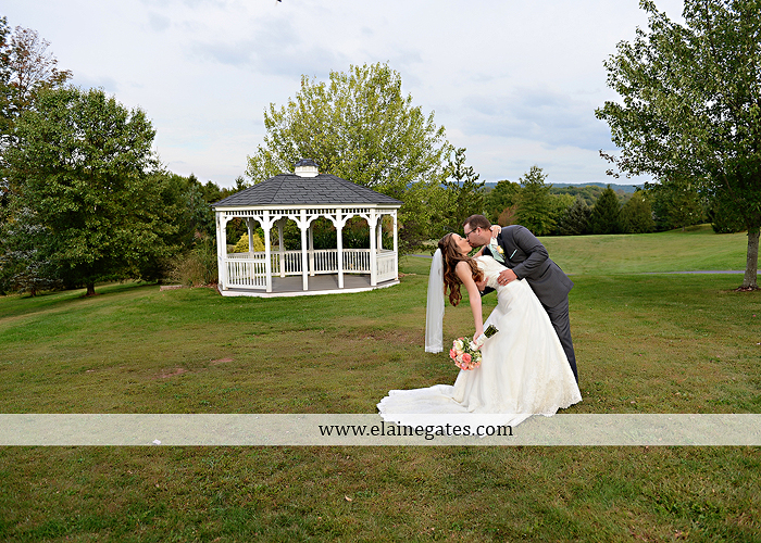 Liberty Forge wedding photographer central pa mechanicsburg pink mint green altland house amy's custom cakery blooms by vickrey j&b bridals littman jewelers men's wearhouse 47