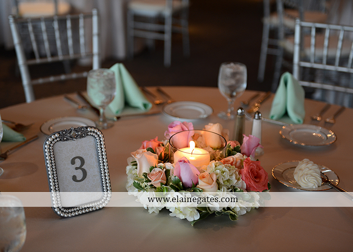 Liberty Forge wedding photographer central pa mechanicsburg pink mint green altland house amy's custom cakery blooms by vickrey j&b bridals littman jewelers men's wearhouse 52