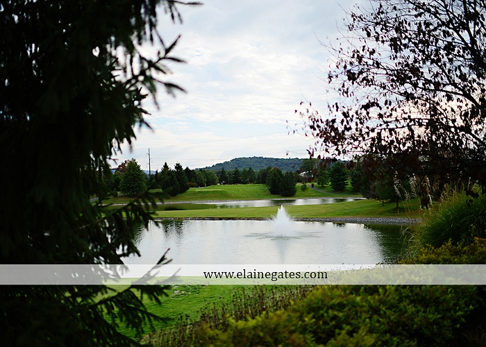 Liberty Forge wedding photographer central pa mechanicsburg pink mint green altland house amy's custom cakery blooms by vickrey j&b bridals littman jewelers men's wearhouse 56