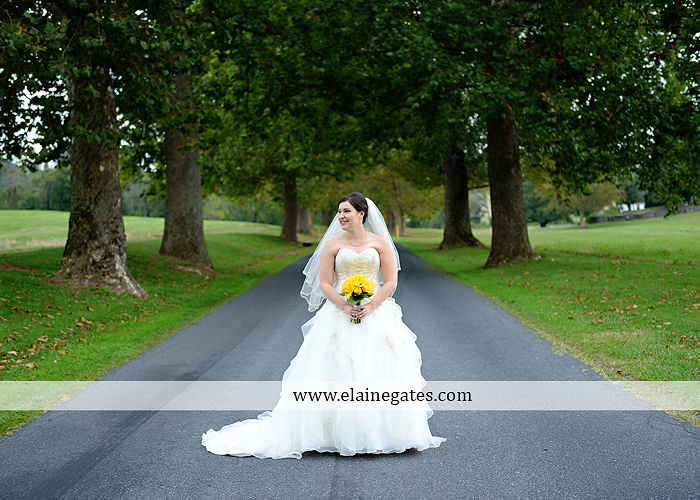 Liberty Forge wedding photographer yellow gray Altland House Mixed Up Productions Amy's Custom Cakery Royer's Courtney Evans Alfred Angelo Men's Wearhouse David's Bridal Zales Premiere 1 12