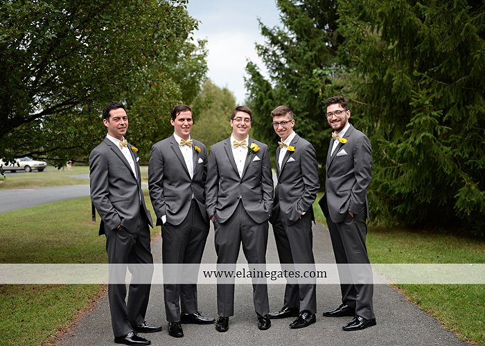 Liberty Forge wedding photographer yellow gray Altland House Mixed Up Productions Amy's Custom Cakery Royer's Courtney Evans Alfred Angelo Men's Wearhouse David's Bridal Zales Premiere 1 20