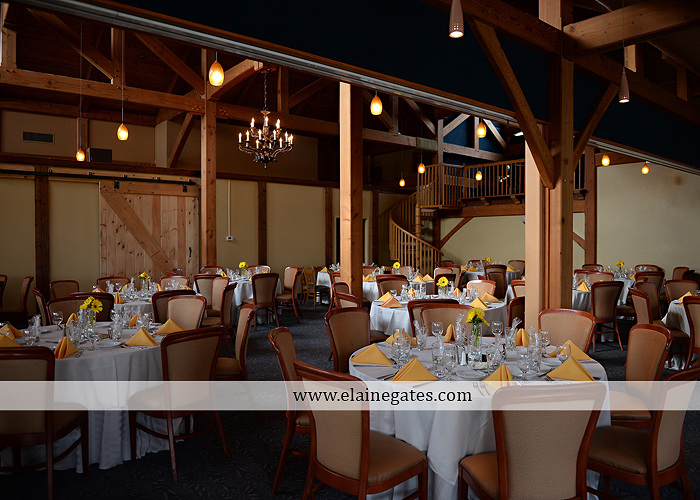 Liberty Forge wedding photographer yellow gray Altland House Mixed Up Productions Amy's Custom Cakery Royer's Courtney Evans Alfred Angelo Men's Wearhouse David's Bridal Zales Premiere 1 23