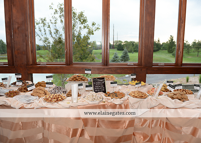 Liberty Forge wedding photographer yellow gray Altland House Mixed Up Productions Amy's Custom Cakery Royer's Courtney Evans Alfred Angelo Men's Wearhouse David's Bridal Zales Premiere 1 29