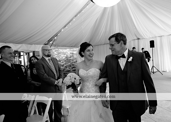 Liberty Forge wedding photographer yellow gray Altland House Mixed Up Productions Amy's Custom Cakery Royer's Courtney Evans Alfred Angelo Men's Wearhouse David's Bridal Zales Premiere 1 31