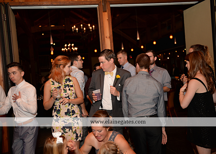 Liberty Forge wedding photographer yellow gray Altland House Mixed Up Productions Amy's Custom Cakery Royer's Courtney Evans Alfred Angelo Men's Wearhouse David's Bridal Zales Premiere 1 55