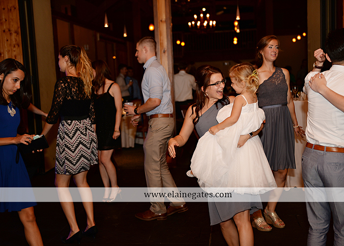 Liberty Forge wedding photographer yellow gray Altland House Mixed Up Productions Amy's Custom Cakery Royer's Courtney Evans Alfred Angelo Men's Wearhouse David's Bridal Zales Premiere 1 57