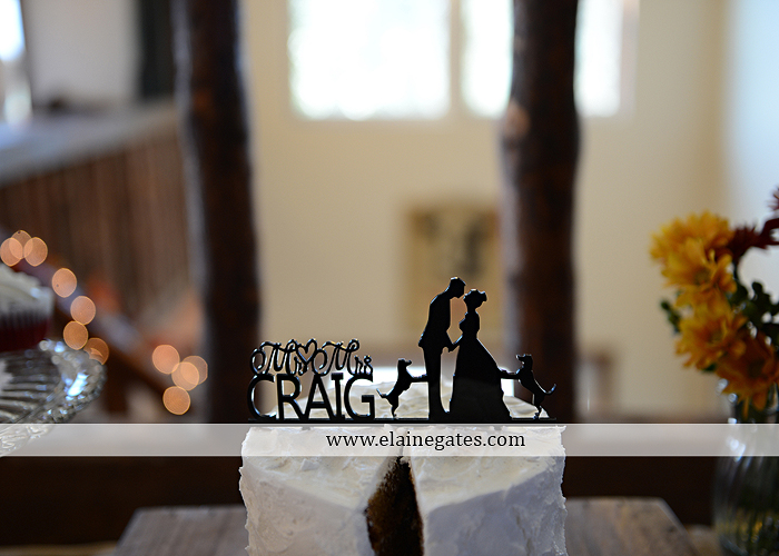 McCulloch's Highland Vue Farm wedding photographer central pa newville plum gray carlisle bakery all occasion florist j&b bridals jos a banks david's bridal litman jewelers zales 47