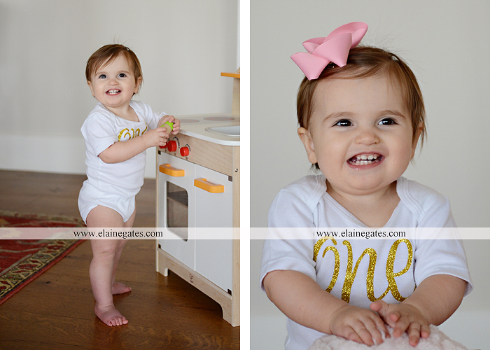 Mechanicsburg Central PA baby child portrait photographer girl indoor chair mother father dog family rug kiss couch js 6