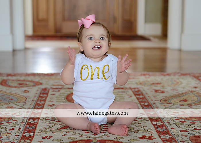 Mechanicsburg Central PA baby child portrait photographer girl indoor chair mother father dog family rug kiss couch js 8