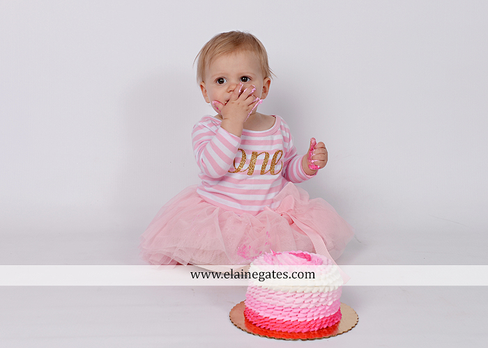 Mechanicsburg Central PA baby child portrait photographer girl outdoor indoor mom mother bench one year old birthday tutu balloons banner cake smash eat jt 8