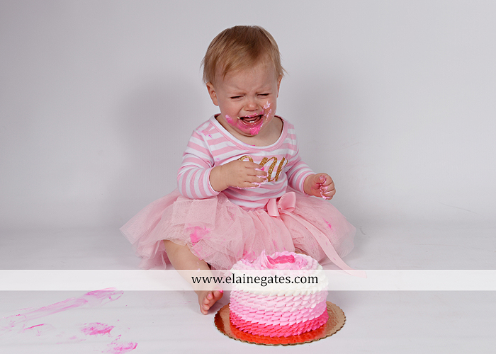 Mechanicsburg Central PA baby child portrait photographer girl outdoor indoor mom mother bench one year old birthday tutu balloons banner cake smash eat jt 9