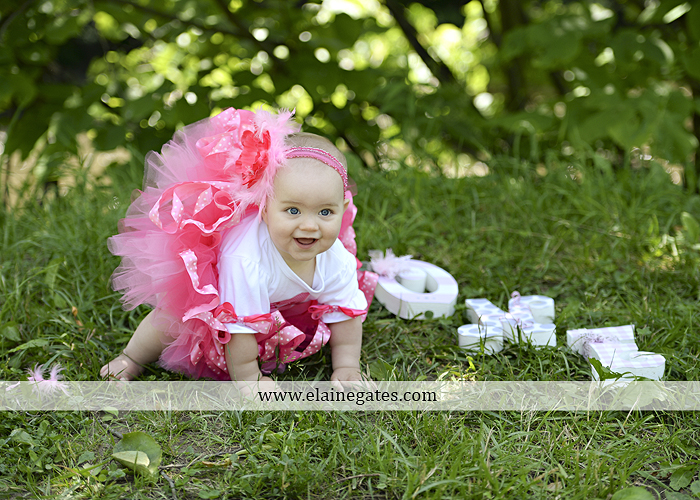 Mechanicsburg Central PA baby child portrait photographer girl outdoor road mother father grass trees tutu 1st birthday one year old water stream creek mb 9