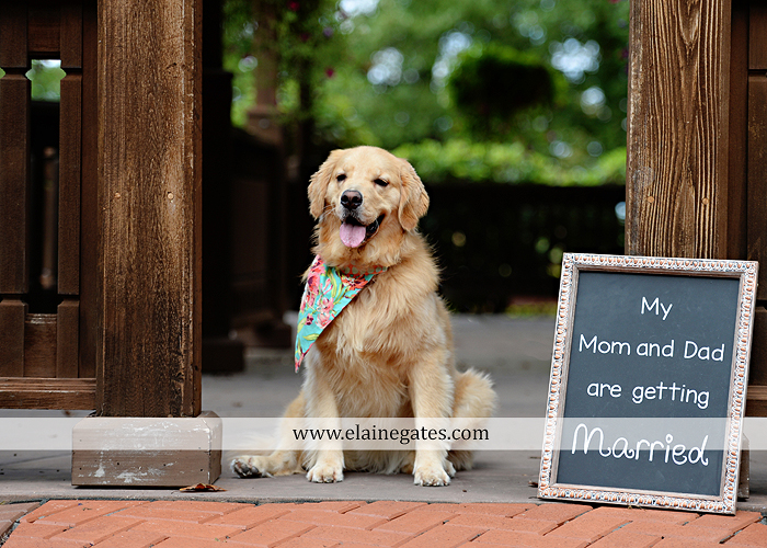 mechanicsburg-central-pa-engagement-portrait-photographer-outdoor-couple-stone-wall-grass-trees-bench-patio-bridge-gazebo-clarion-dog-kiss-holding-hands-hug-am-07
