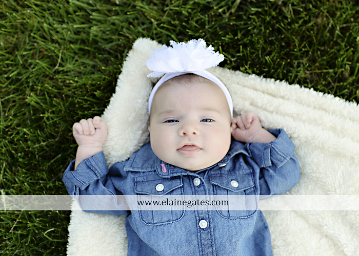 Mechanicsburg Central PA family portrait photographer outdoor children girls sister grass father mother flowers baby st 6