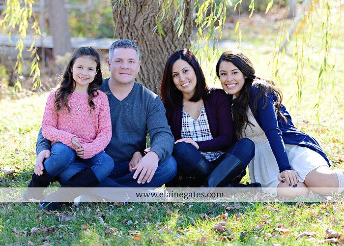 Mechanicsburg Central PA family portrait photographer outdoor girl sisters mother father leaves boiling springs lake trees wood bridge grass stone wall cc 09
