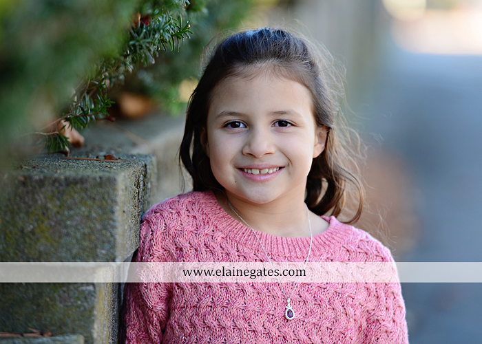 Mechanicsburg Central PA family portrait photographer outdoor girl sisters mother father leaves boiling springs lake trees wood bridge grass stone wall cc 13