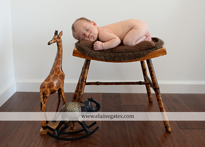 mechanicsburg-central-pa-newborn-baby-portrait-photographer-boy-sleeping-blanket-knit-hat-stool-brother-kiss-mother-father-feet-family-ad-06