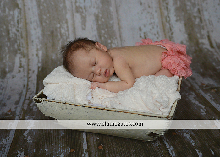 Mechanicsburg Central PA newborn baby portrait photographer girl sleeping indoor blanket bow knit hat mother father bowl basket tutu je 8