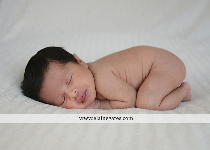 Mechanicsburg Central PA newborn baby portrait photographer girl sleeping indoor blanket bow knit hat mother father dog sonogram q 01