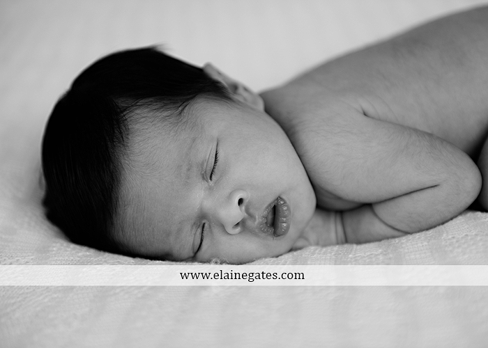 Mechanicsburg Central PA newborn baby portrait photographer girl sleeping indoor blanket bow knit hat mother father dog sonogram q 02