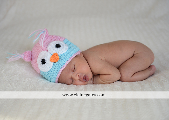 Mechanicsburg Central PA newborn baby portrait photographer girl sleeping indoor blanket bow knit hat mother father dog sonogram q 04