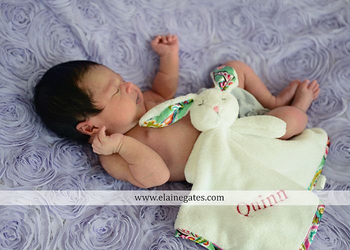 Mechanicsburg Central PA newborn baby portrait photographer girl sleeping indoor blanket bow knit hat mother father dog sonogram q 07