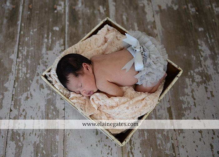 Mechanicsburg Central PA newborn baby portrait photographer girl sleeping indoor blanket bow knit hat mother father dog sonogram q 09