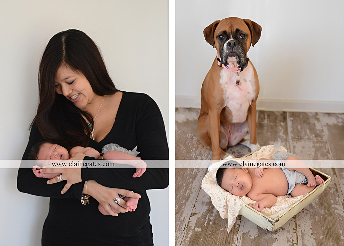 Mechanicsburg Central PA newborn baby portrait photographer girl sleeping indoor blanket bow knit hat mother father dog sonogram q 11