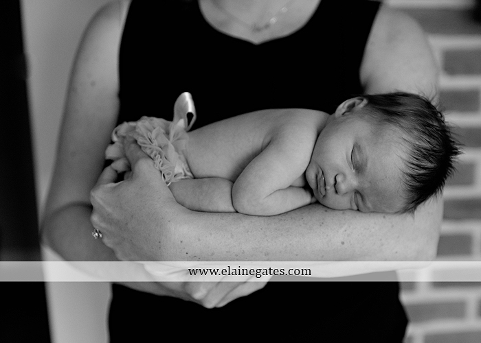 Mechanicsburg Central PA newborn baby portrait photographer girl sleeping indoor blanket brother bow tutu outdoor trees father mother family km 16