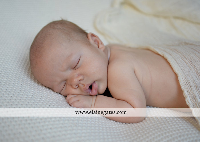 Mechanicsburg Central PA newborn baby portrait photographer twins boys brothers sleeping blanket jc 2